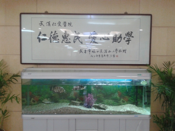 荣誉牌匾